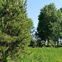 ���� ����, ����������� - ��������� 7 ������ 2026 � ������ ������ ��������
