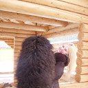  Galina,  -  28  2024    