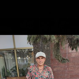 , 54, 
