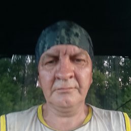 , 53 , 
