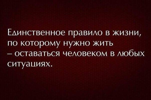   - 10  2024  16:31