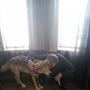 ���� �������, ������, 49 ��� - ��������� 4 ������ 2026