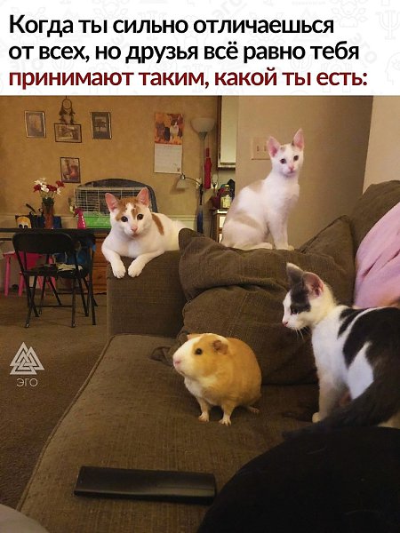 Поэтому так важно иметь настоящих друзей и беречь их!