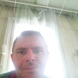 ����, ���������, 38 ���