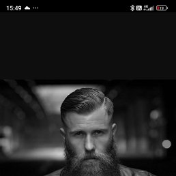 , 37, 