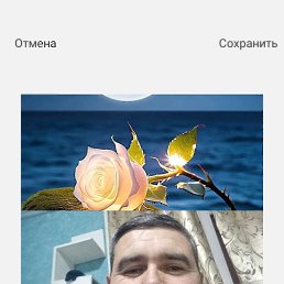 ������ ������, 41 ���, ������