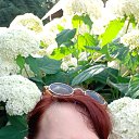 ���� �����, ������, 52 ���� - ��������� 15 ������� 2025