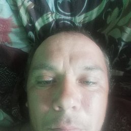 , 39, 