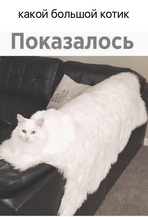    - 26  2024  23:26