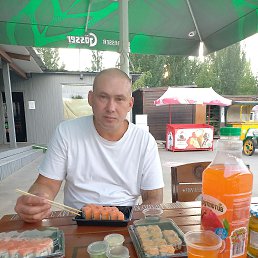 ����, 41 ���, ������