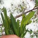 ���� �����, �����������, 60 ��� - ��������� 20 ��� 2025 � ������ ���� ����������