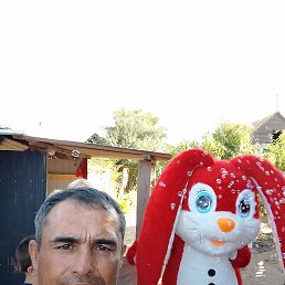 , 42 , 