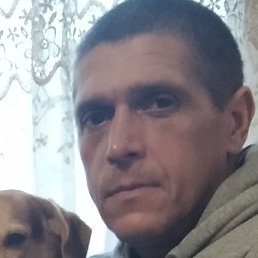 �����, ������������, 42 ����