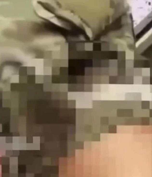          .    ... - 2