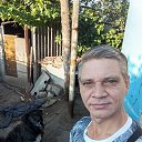 ���� ����, ����������, 43 ���� - ��������� 17 ������� 2025 � ������ ���� ����������