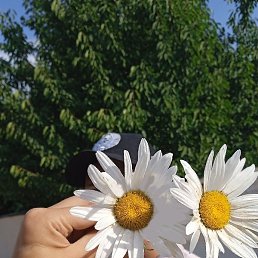 Isa, �����, 20 ���