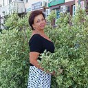 ���� �����, ������, 62 ���� - ��������� 11 ���� 2024 � ������ ���� ����������