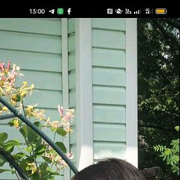 ��������, ������, 54 ����