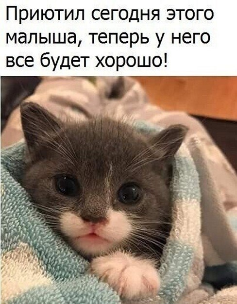 ? ,  ! - 4  2025  16:33