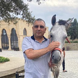Mr.rahib, ����, 55 ���