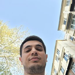, 33, 
