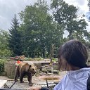 ���� �����, ����������� - ��������� 2 ������� 2026 � ������ ���� ����������