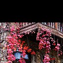 ���� David, �������, 48 ��� - ��������� 7 ������� 2025