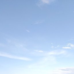 ������, ���������, 43 ����