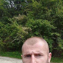 , 36, 