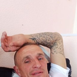 ����, �����������, 41 ���