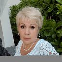 ���� ���������, ����� - ��������� 24 ������ 2026 � ������ ���� ����������