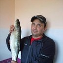 ���� ������, ������, 49 ��� - ��������� 29 ������ 2024 � ������ ���� ����������