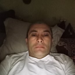 , 40, 