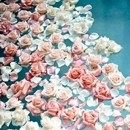 �����, ��������