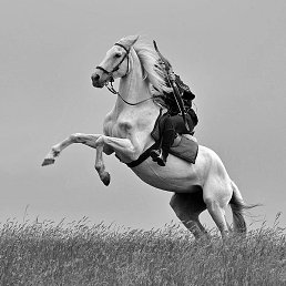 Black, ������������, 26 ���