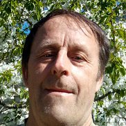  , 51 , 