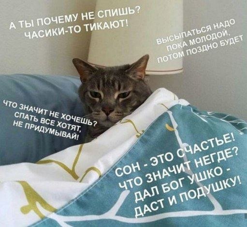    - 17  2024  08:37