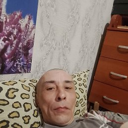 , 37, 
