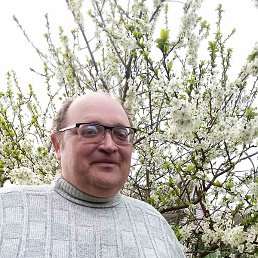 �������, �����, 55 ���