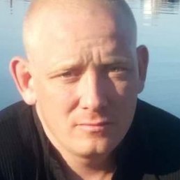 ����, ������������, 41 ���