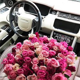 ����, ������