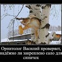 ���� ����, �����������, 53 ���� - ��������� 6 ������ 2024 � ������ ������� �������.�
