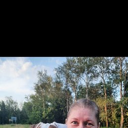 , 44, 
