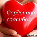 ���� ���� Ը�������, ������ - ��������� 15 ������� 2026 � ������ ���� ����������