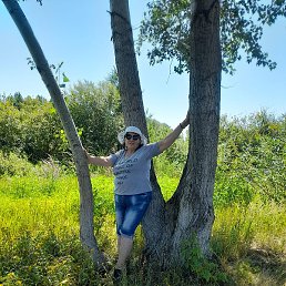 ����, �����, 68 ���