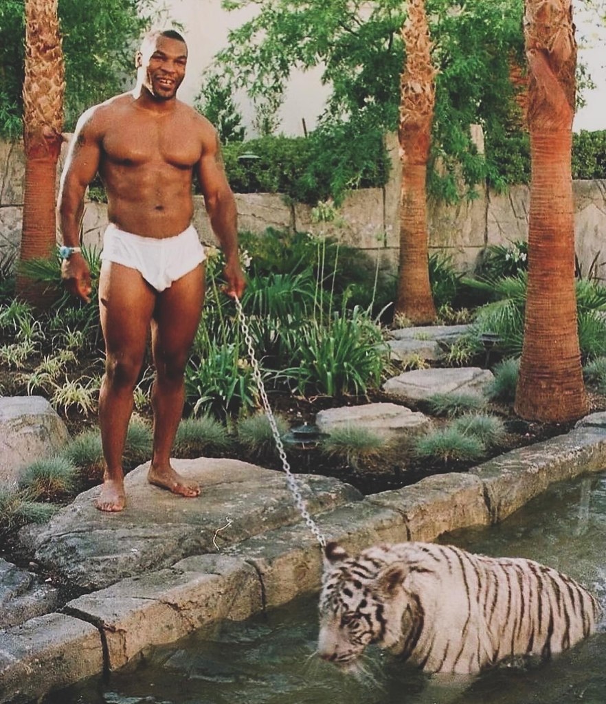              1996 .