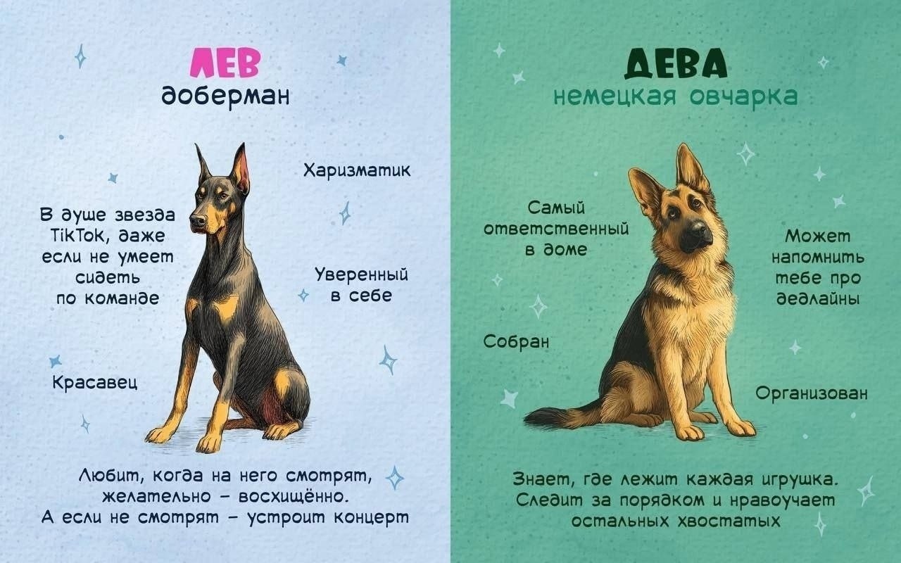   ? - 6