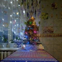 ���������, ������, 61 ���