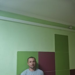 �������, 37 ���, ���������