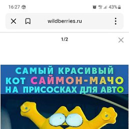 ������, �������, 50 ���